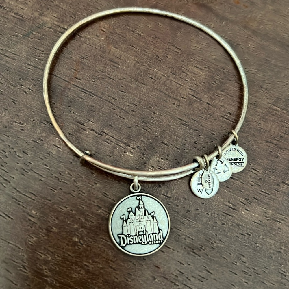 Alex and Ani Disneyland Charm bracelet